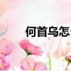 何首烏怎么吃生發（何首烏怎么吃）