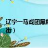 遼寧一馬戲團黑熊逃出沿街奔跑（遼寧一馬戲團黑熊逃跑上街）
