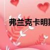 弗蘭克卡明斯基簡介（弗蘭克 卡明斯基）