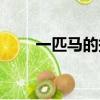 一匹馬的拼音最新（一匹馬的拼音）