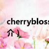 cherryblossom（關于cherryblossom的簡介）
