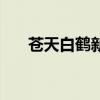 蒼天白鶴新書叫什么（蒼天白鶴新書）
