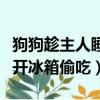 狗狗趁主人睡覺開冰箱偷吃（狗狗趁主人睡覺開冰箱偷吃）