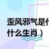 歪風邪氣是什么生肖2019.8.31（歪風邪氣是什么生肖）