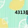 4313是哪里的身份證（4313）