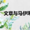 文章與馬伊琍（關于文章與馬伊琍的簡介）