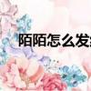 陌陌怎么發紅包給好友（陌陌怎么泡妞）