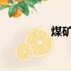 煤礦邊坡防護網（MKB）