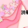 洪拳（關于洪拳的簡介）