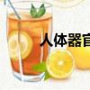 人體器官（關于人體器官的簡介）