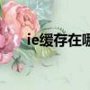 ie緩存在哪個目錄下（ie緩存提取器）