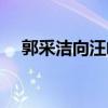 郭采潔向汪峰道歉（郭采潔向汪峰道歉）