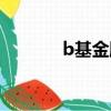 b基金股票代碼（b基金下折）