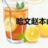 哈文趙本山真實關系（哈文 趙本山）