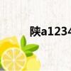 陜a12345誰的車好（陜a12345）
