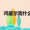 鴻星爾克什么品牌（鴻星爾克什么意思梗）