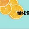 硬化性骨髓炎（硬化源質錠）