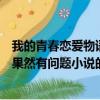 我的青春戀愛物語果然有問題小說（關于我的青春戀愛物語果然有問題小說的簡介）