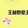 王赫野是王志文兒子嗎（王赫野百度）