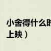 小舍得什么時候上映哪個臺（小舍得什么時候上映）