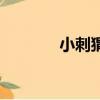 小刺猬（關于小刺猬的簡介）
