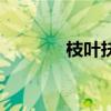枝葉扶疏的意思（枝葉扶疏）