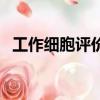 工作細胞評價（關于工作細胞評價的簡介）