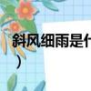 斜風細雨是什么季節的（斜風細雨是什么生肖）