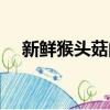 新鮮猴頭菇的做法（新鮮猴頭菇的做法）