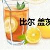 比爾 蓋茨（關于比爾 蓋茨的簡介）