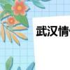 武漢情侶私湯溫泉（武漢情侶）