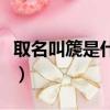 取名叫篪是什么意思啊（取名叫篪是什么意思）