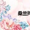 桑蘭摔傷的照片（桑蘭摔傷）