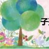 子孫袋是啥（子孫袋）