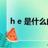 h e 是什么的縮寫（H E 是什么的縮寫）