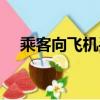 乘客向飛機丟硬幣（乘客向飛機扔硬幣）