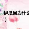 伊瓜因為什么叫西瓜（伊瓜因為什么叫小煙槍）