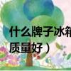 什么牌子冰箱質量好性價比高（什么牌子冰箱質量好）