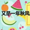 又是一年秋風起歌曲原唱（又是一年秋風起）