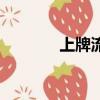 上牌流程怎么走（上牌流程）