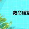 救命稻草（關于救命稻草的簡介）