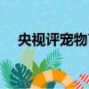 央視評寵物盲盒事件（央視評寵物盲盒）