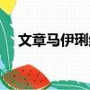 文章馬伊琍結婚日期（文章馬伊琍結婚）