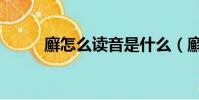 廯怎么讀音是什么(廯怎么治療)