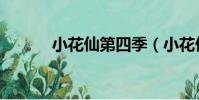 小花仙第四季(小花仙月亮花)