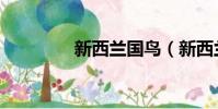 新西蘭國鳥(新西蘭國鳥)