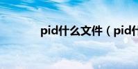 pid什么文件(pid什么意思)
