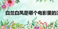 白蘭白鳳是哪個電影里的演員(白蘭bg)