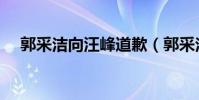 郭采潔向汪峰道歉(郭采潔向汪峰道歉)