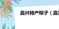 嘉興特產粽子(嘉興特產)